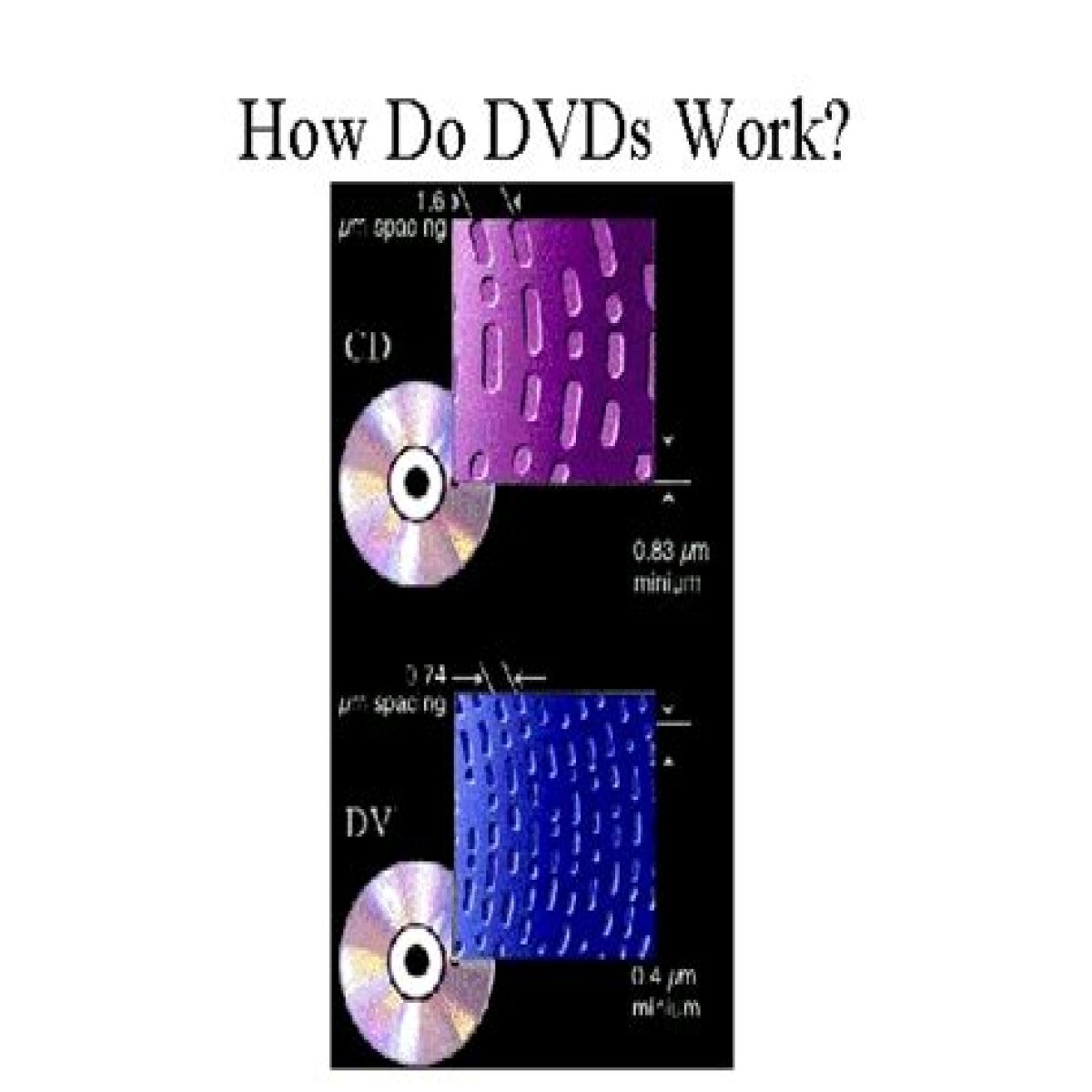 HTML