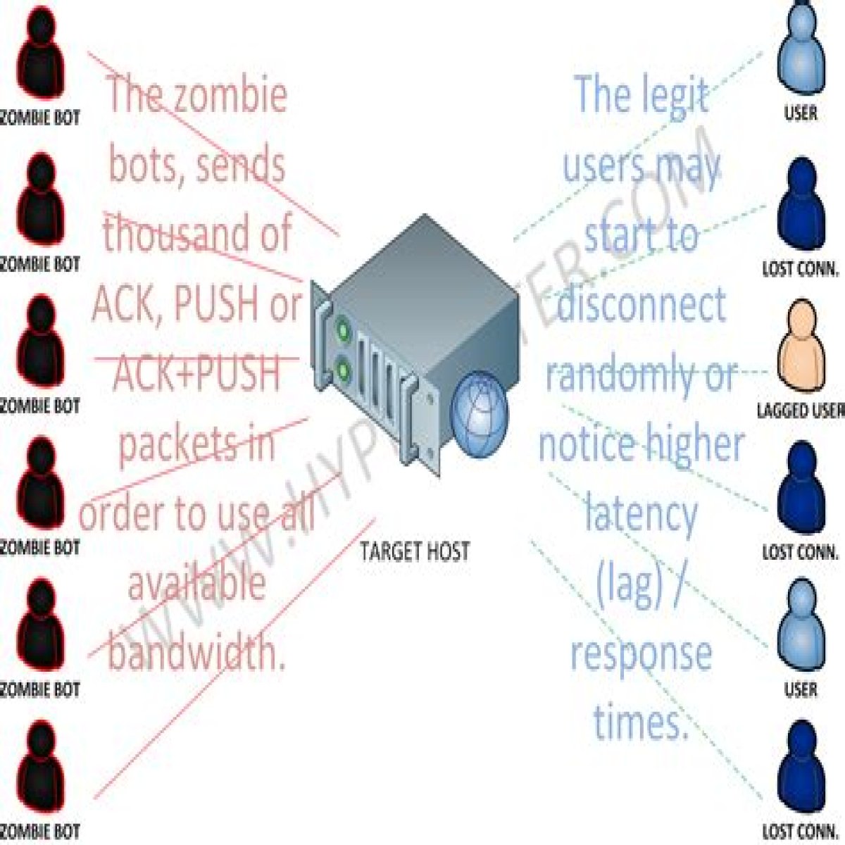HTML